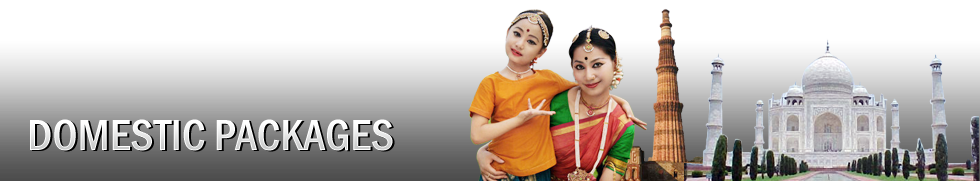 domestic tours